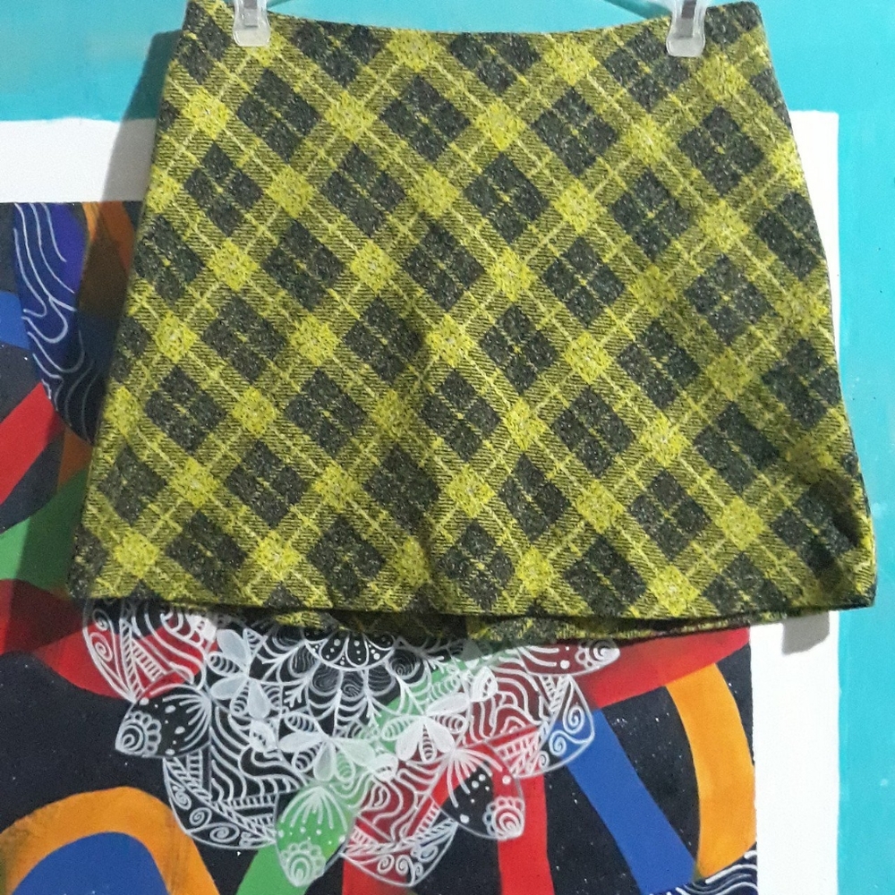 Zara Mini Skirt